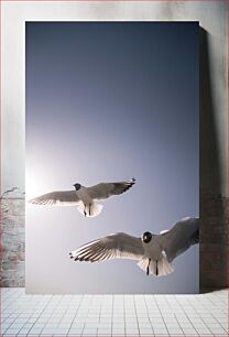 Πίνακας, Seagulls in Flight Γλάροι σε πτήση