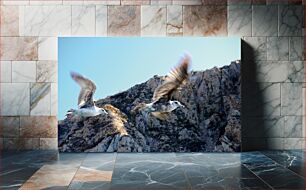 Πίνακας, Seagulls in Flight over Rocky Cliffs Γλάροι σε πτήση πάνω από βραχώδεις βράχους