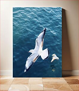 Πίνακας, Seagulls in Flight over the Sea Γλάροι σε πτήση πάνω από τη θάλασσα