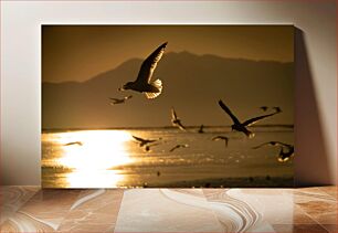 Πίνακας, Seagulls in Sunset Γλάροι στο ηλιοβασίλεμα