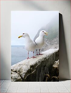 Πίνακας, Seagulls on a Foggy Cliff Γλάροι σε έναν ομιχλώδη βράχο
