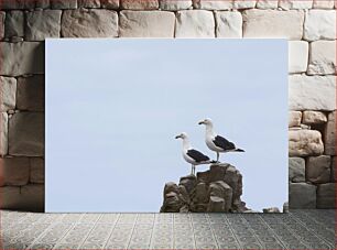 Πίνακας, Seagulls on a Rock Γλάροι σε βράχο