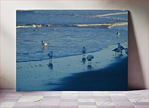 Πίνακας, Seagulls on Beach Γλάροι στην παραλία