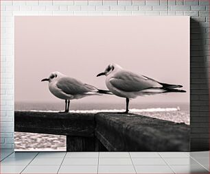 Πίνακας, Seagulls on Pier Γλάροι στην προβλήτα