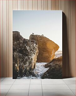 Πίνακας, Seagulls on Rocky Coast Γλάροι στη Βραχώδη Ακτή