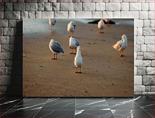 Πίνακας, Seagulls on the Beach Γλάροι στην παραλία