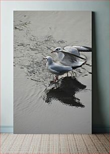 Πίνακας, Seagulls on Water Γλάροι στο νερό
