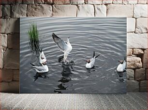Πίνακας, Seagulls on Water Γλάροι στο νερό