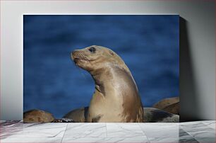 Πίνακας, Seal at Sea Φώκια στη θάλασσα