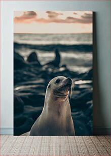 Πίνακας, Seal by the Sea at Sunset Φώκια δίπλα στη θάλασσα στο ηλιοβασίλεμα