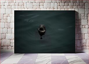 Πίνακας, Seal in Dark Waters Φώκια στα σκοτεινά νερά