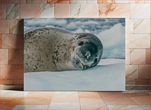 Πίνακας, Seal on Ice Φώκια στον πάγο
