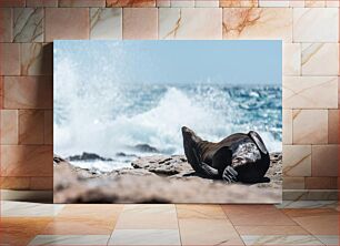 Πίνακας, Seal Relaxing by the Sea Seal Relaxing by the Sea