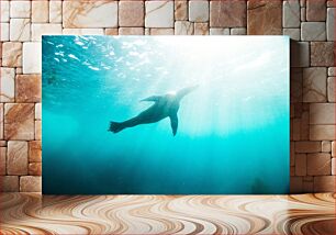 Πίνακας, Seal Swimming Underwater Φώκια που κολυμπάει υποβρύχια