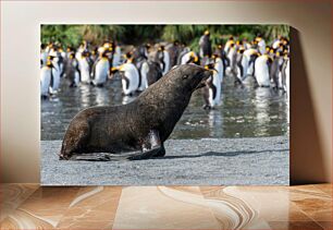 Πίνακας, Seal with Penguins Φώκια με πιγκουίνους