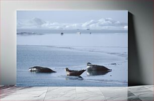 Πίνακας, Seals on Ice Φώκιες στον πάγο