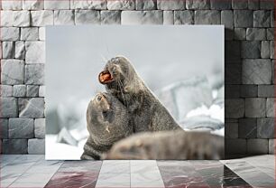 Πίνακας, Seals Playing on Ice Φώκιες που παίζουν στον πάγο