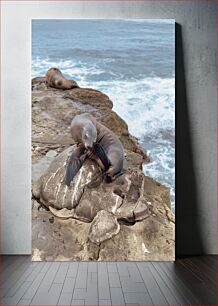 Πίνακας, Seals Resting by the Ocean Οι φώκιες αναπαύονται δίπλα στον ωκεανό