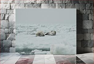 Πίνακας, Seals Resting on Ice Φώκιες που στηρίζονται στον πάγο