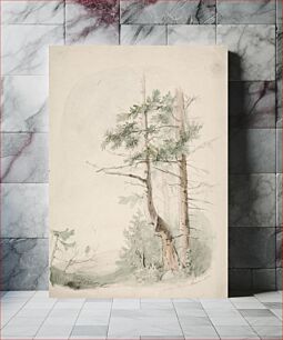 Πίνακας, Seaside landscape "nagu-hafverö-norrby", 1853, Anders Ekman