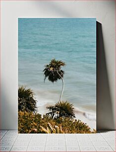 Πίνακας, Seaside Palm Trees Παραθαλάσσιοι φοίνικες