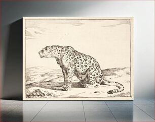 Πίνακας, Seated dog leopard, facing left by Marcus de Bye