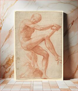 Πίνακας, Seated Male Nude by Francesco Salviati (Francesco de' Rossi)