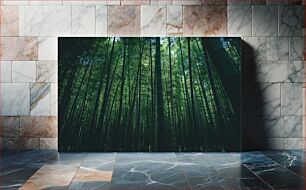 Πίνακας, Serene Bamboo Forest Γαληνό Δάσος Μπαμπού