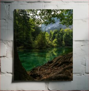 Πίνακας, Serene Forest Lake Γαληνό Δάσος Λίμνη