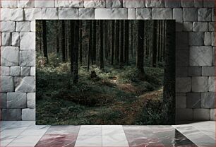 Πίνακας, Serene Forest Path Γαλήνιο Δασικό Μονοπάτι