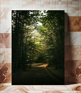 Πίνακας, Serene Forest Path Γαλήνιο Δασικό Μονοπάτι