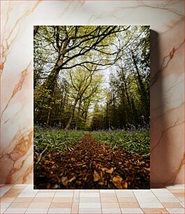 Πίνακας, Serene Forest Path Γαλήνιο Δασικό Μονοπάτι