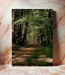 Πίνακας, Serene Forest Path Γαλήνιο Δασικό Μονοπάτι