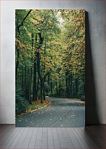 Πίνακας, Serene Forest Road Γαλήνιος Δάσος