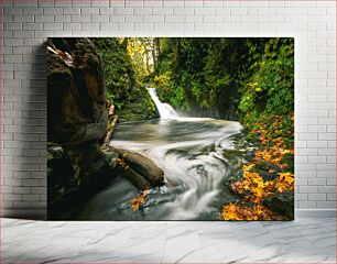 Πίνακας, Serene Forest Waterfall Καταρράκτης Γαληνό Δάσος
