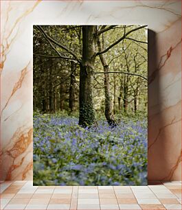 Πίνακας, Serene Forest with Bluebells Γαλήνιο δάσος με μπλε καμπάνες