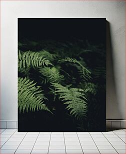 Πίνακας, Serene Green Ferns Γαληνοπράσινες Φτέρες