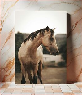 Πίνακας, Serene Horse in a Natural Setting Γαλήνιο άλογο σε ένα φυσικό περιβάλλον