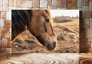 Πίνακας, Serene Horse Γαλήνιο άλογο