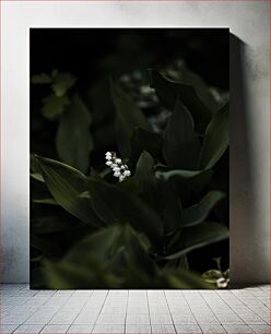 Πίνακας, Serene Lily of the Valley Γαλήνιο κρίνο της κοιλάδας