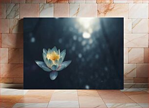 Πίνακας, Serene Lotus Flower Γαλήνιο λουλούδι λωτού