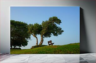 Πίνακας, Serene Park Bench Under Trees Γαλήνιο πάγκο πάρκου κάτω από δέντρα