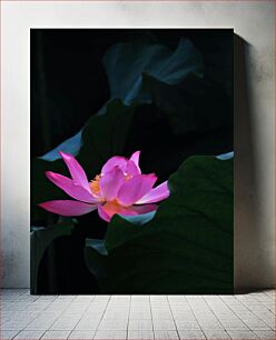 Πίνακας, Serene Pink Lotus Γαληνό ροζ Lotus