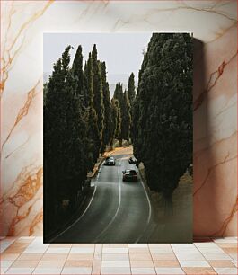 Πίνακας, Serene Road Through Tall Trees Γαλήνιος δρόμος μέσα από ψηλά δέντρα