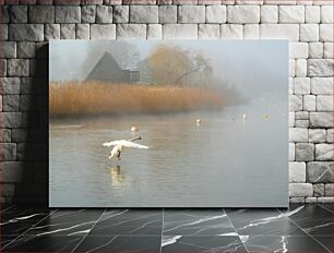 Πίνακας, Serene Swan in Misty Landscape Γαλήνιος Κύκνος στο ομιχλώδες τοπίο