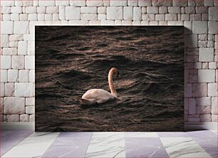 Πίνακας, Serene Swan on Dark Waters Γαλήνιος Κύκνος στα σκοτεινά νερά