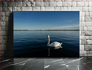 Πίνακας, Serene Swan on the Lake Γαλήνιος Κύκνος στη Λίμνη