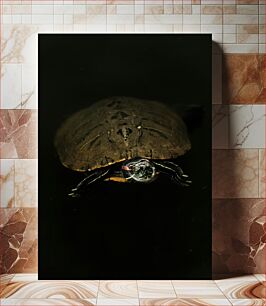 Πίνακας, Serene Turtle in Dark Waters Γαλήνια χελώνα στα σκοτεινά νερά