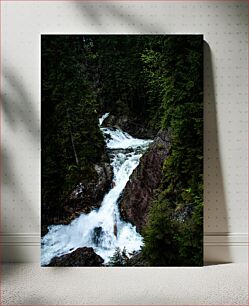 Πίνακας, Serene Waterfall in Forest Γαλήνιος καταρράκτης στο δάσος