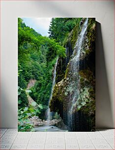 Πίνακας, Serene Waterfall in Lush Forest Γαλήνιος καταρράκτης στο καταπράσινο δάσος